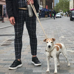Load image into Gallery viewer, hemp dog lead with matching harness, Jack Russell harnees and lead set
