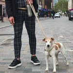 Load image into Gallery viewer, hemp dog lead with matching harness, Jack Russell harnees and lead set
