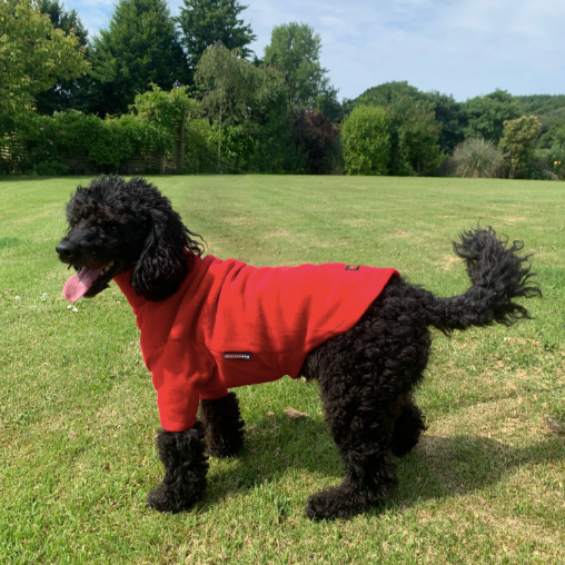 Red dog jumper fleece by HOTTERdog