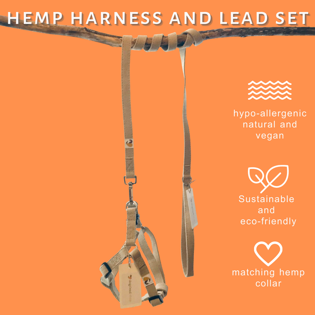 natural hemp dog harness and lead set