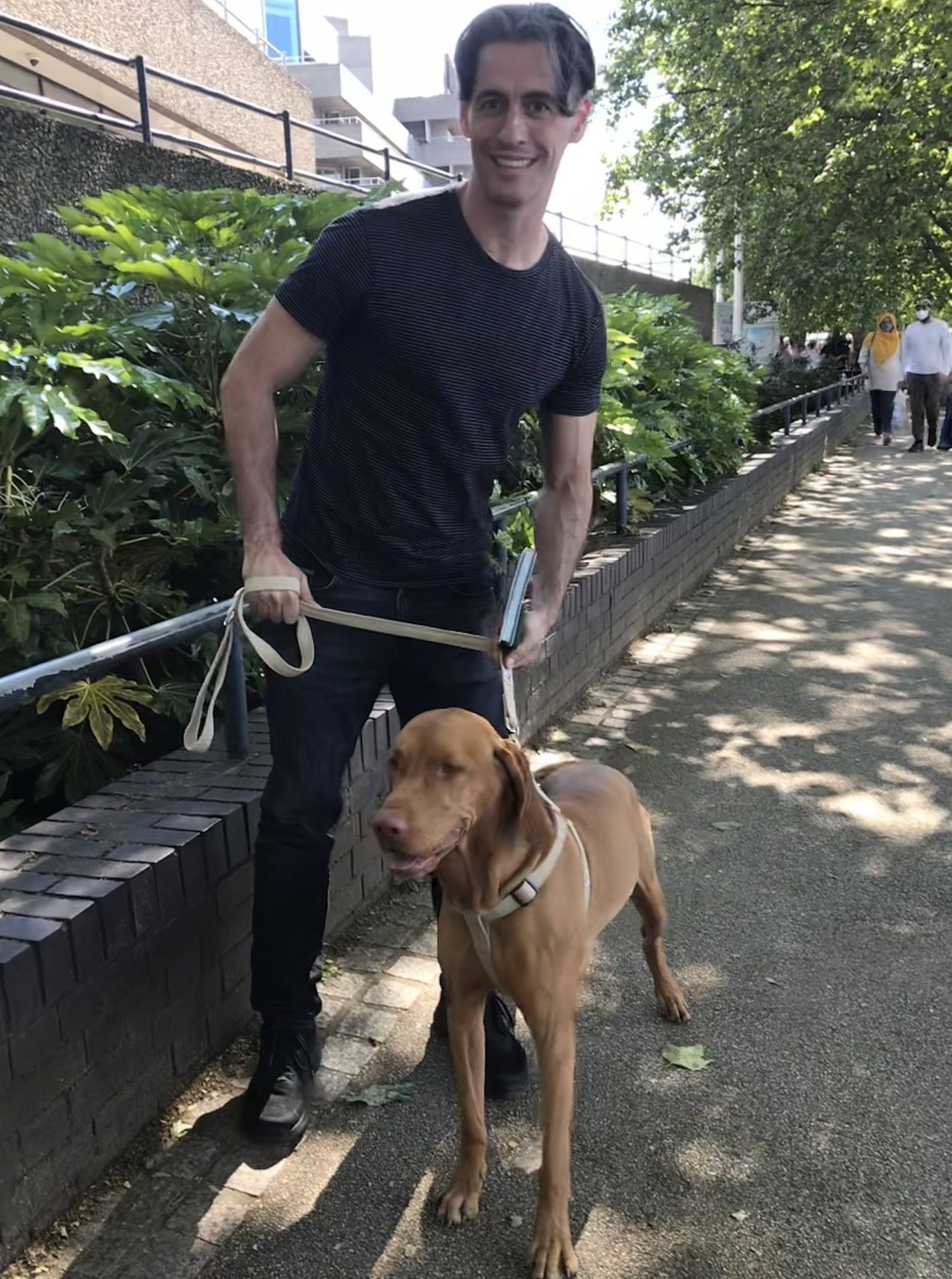 Vizsla Harness and Lead Set in natural hemp