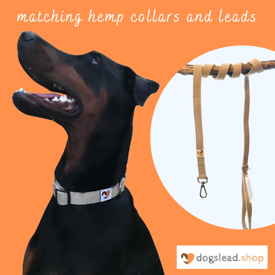 matching hemp dog collars and leads