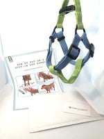 Charger l&#39;image dans la galerie, how to put on a step-in dog harness
