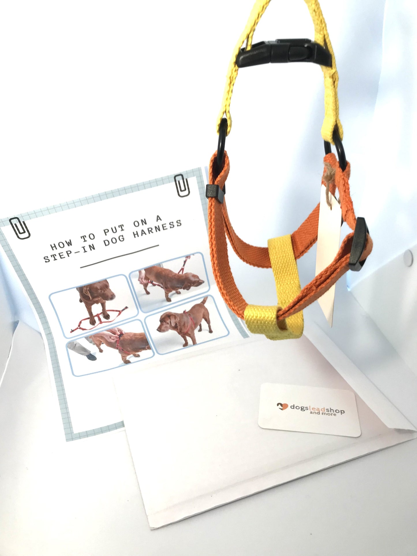 how to put on a step-in dog harness