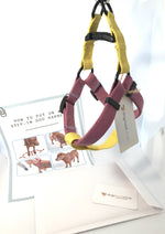 Charger l&#39;image dans la galerie, how to put on a step-in dog harness
