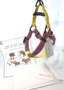 how to put on a step-in dog harness