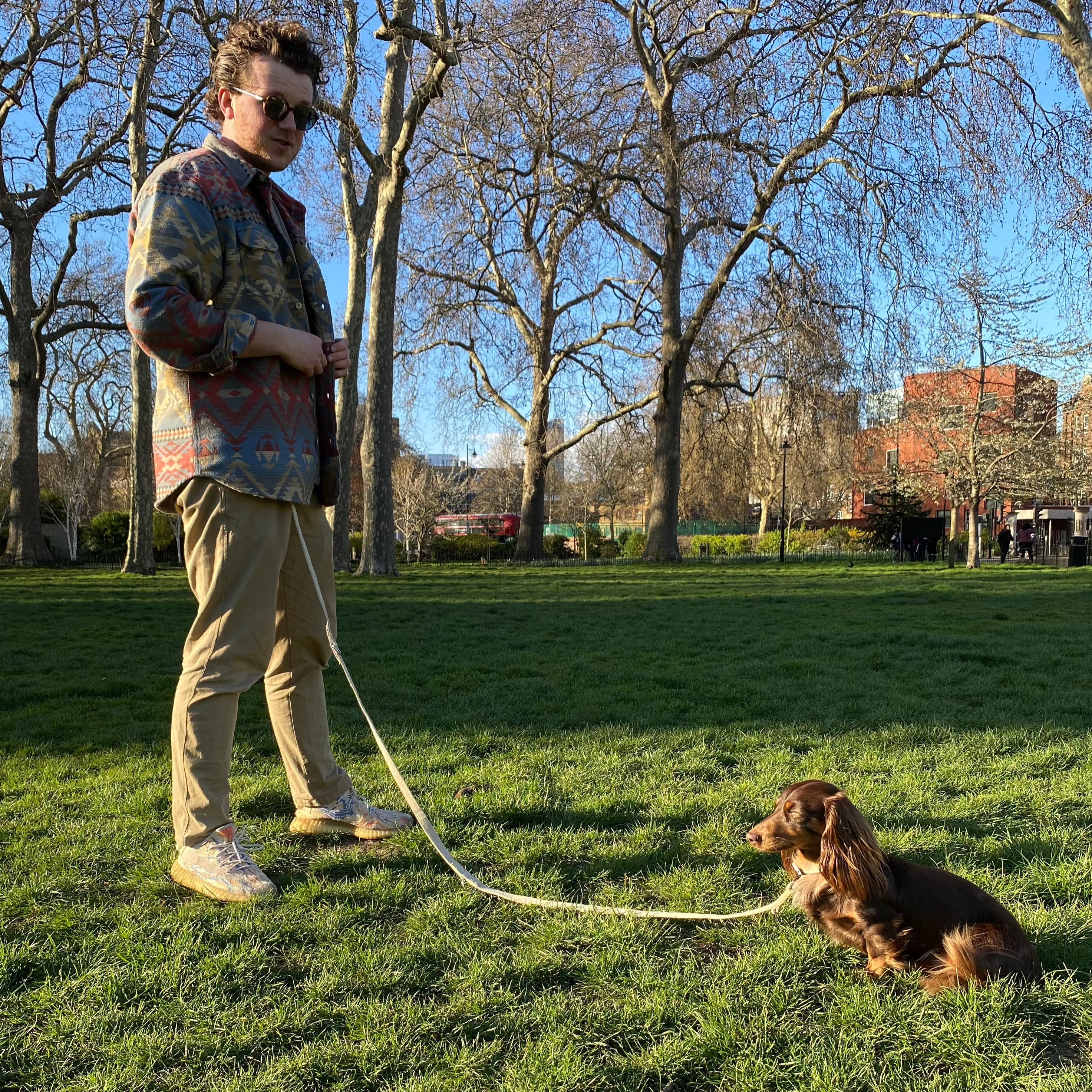 Hands Free option dog leash in Natural Hemp, for dog training
