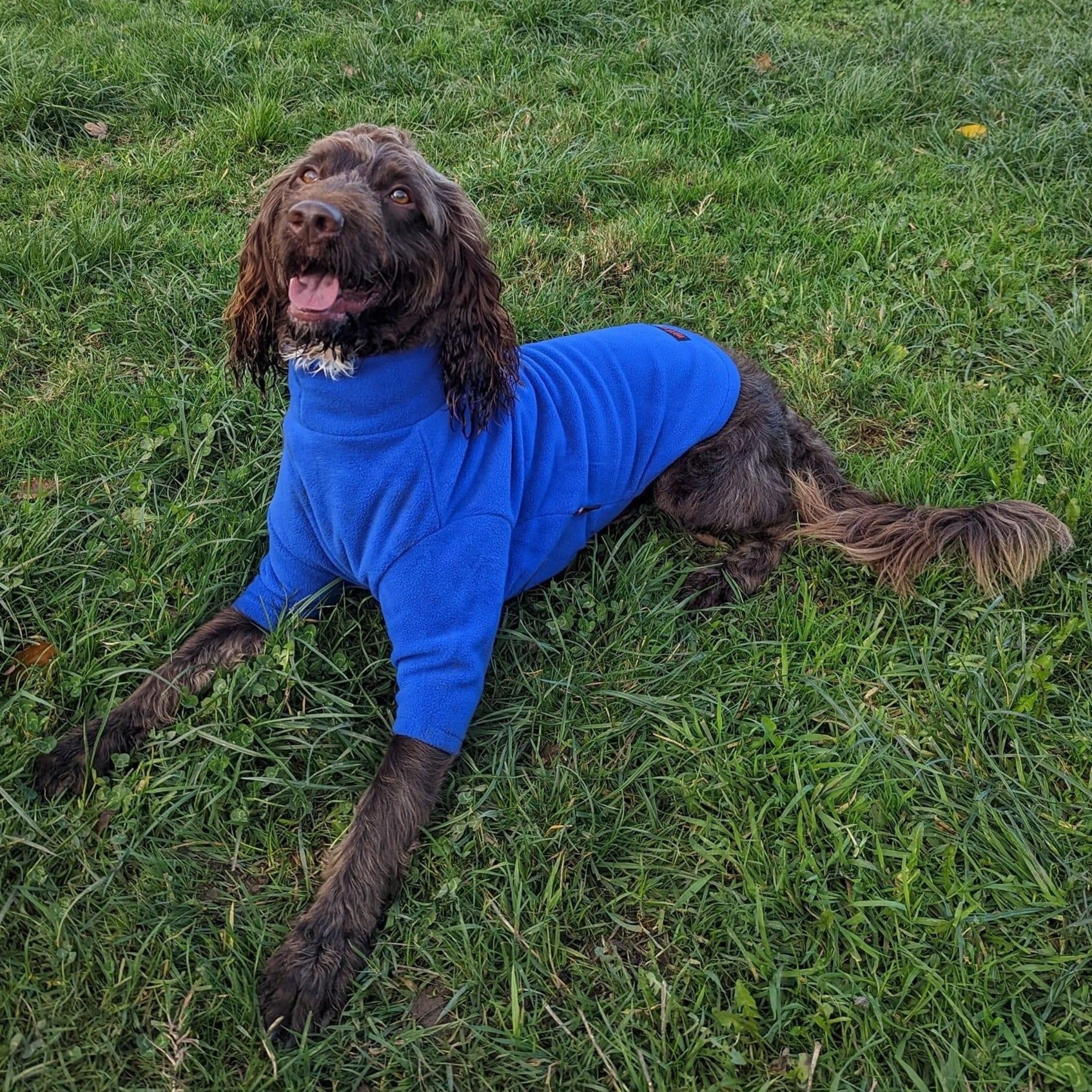 Royal Blue Fleece Dog Jumper 100% Rainproof, Breathable, Warm and Washable