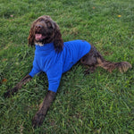 Load image into Gallery viewer, Royal Blue Fleece Dog Jumper 100% Rainproof, Breathable, Warm and Washable
