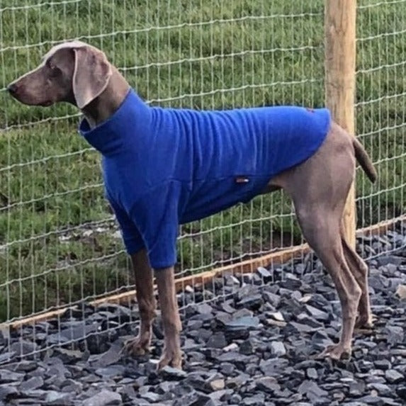 Weimaraner fleece jumper in Royal Blue
