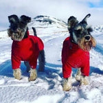 Load image into Gallery viewer, HOTTERdog Red Fleece Dog Jumper 100% Rainproof, Breathable, Warm and Washable
