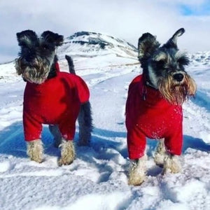 HOTTERdog Red Fleece Dog Jumper 100% Rainproof, Breathable, Warm and Washable