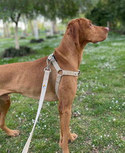Natural Hemp Dog Harness, adjustable step-in harness