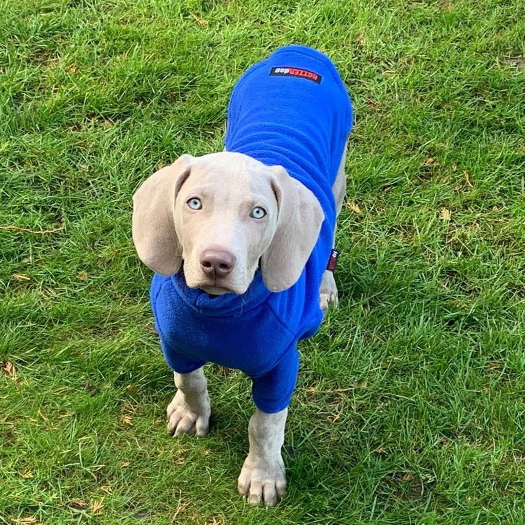 Royal Blue Fleece Dog Jumper 100% Rainproof, Breathable, Warm and Washable