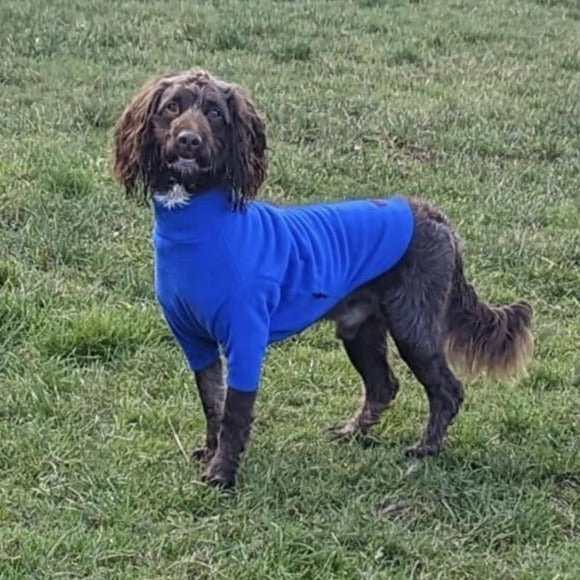 Royal Blue Fleece Dog Jumper 100% Rainproof, Breathable, Warm and Washable