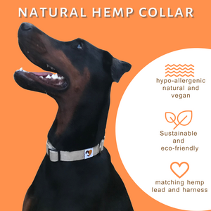 Natural hemp dog collar Dobermann