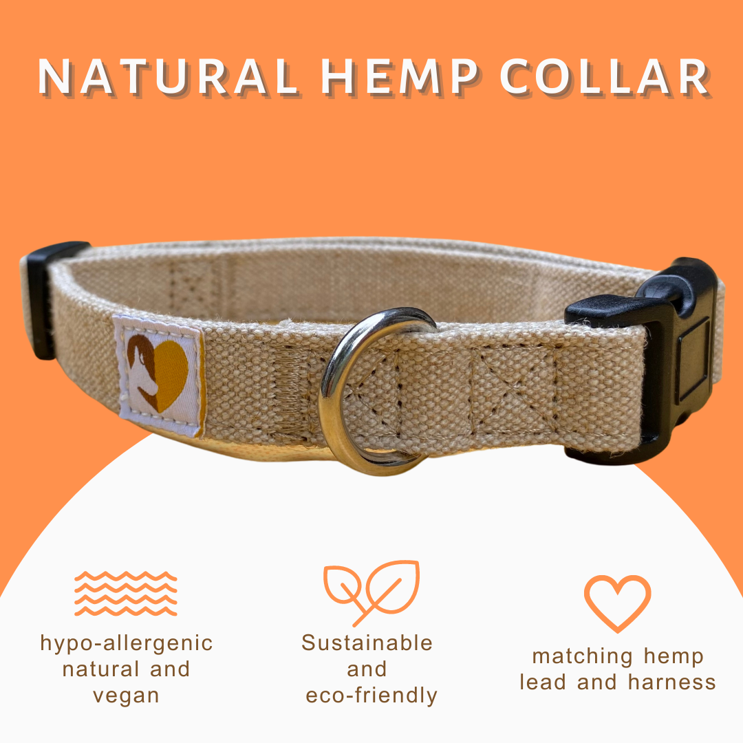 Natural Hemp Dog Collar with plastic buckle