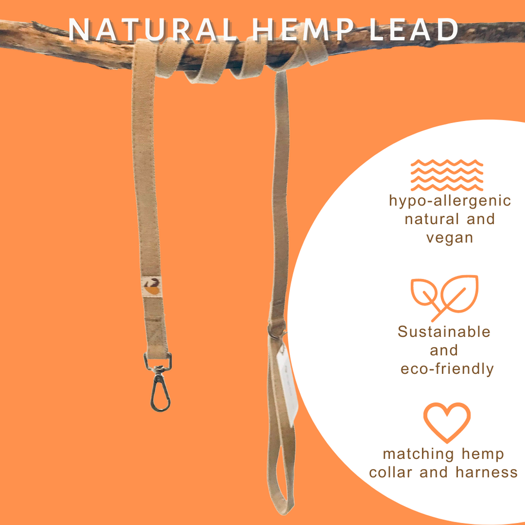 Natural hemp dog lead