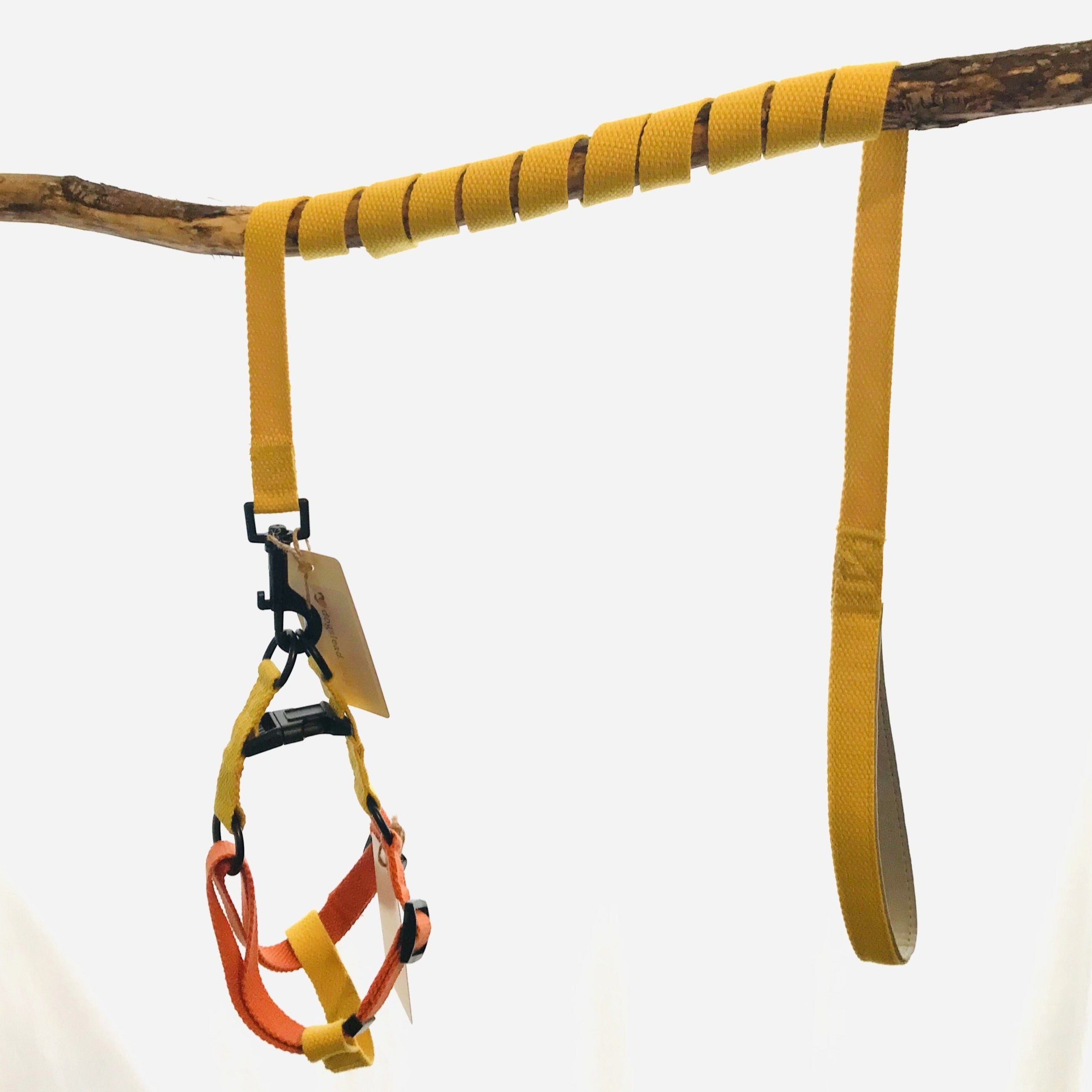 Yellow and Orange cotton dog harness and lead set