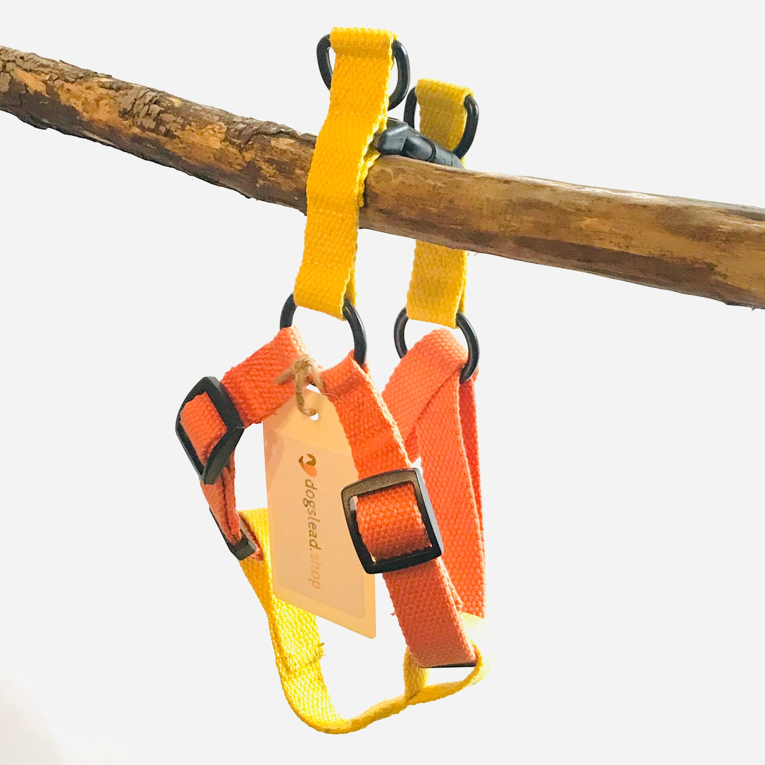 Orange & Yellow step-in cotton harness