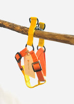 Load image into Gallery viewer, Cotton Harness and Lead Set, Orange &amp; Yellow
