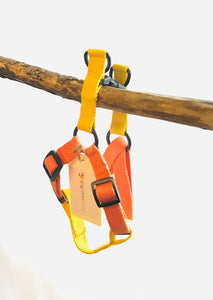 Cotton Harness and Lead Set, Orange & Yellow