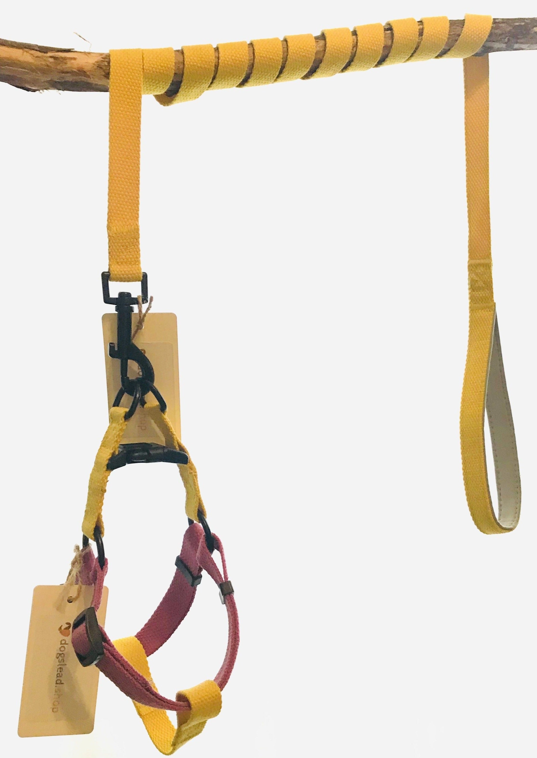 Yellow and Purple cotton dog harness and lead set