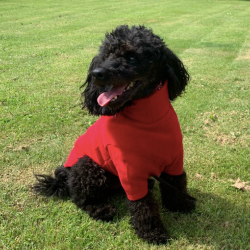 Red dog jumper fleece by HOTTERdog