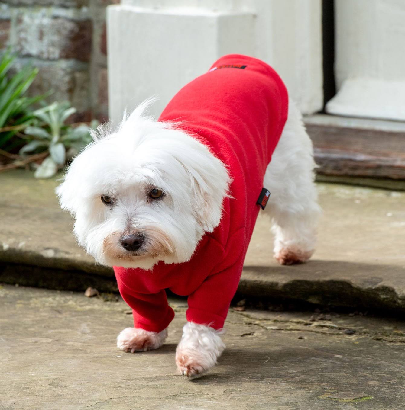 Red dog jumper fleece by HOTTERdog