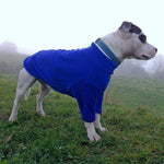Load image into Gallery viewer, Royal Blue Fleece Dog Jumper 100% Rainproof, Breathable, Warm and Washable, the HOTTERdog range from Equafleece
