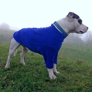 Royal Blue Fleece Dog Jumper 100% Rainproof, Breathable, Warm and Washable, the HOTTERdog range from Equafleece