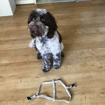 Load image into Gallery viewer, Hemp Step-In Dog Harness
