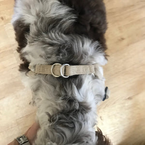 Hemp Step-In Dog Harness