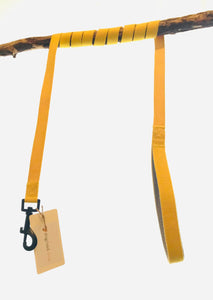 yellow dog lead (with matching harness)