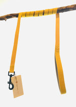 Charger l&#39;image dans la galerie, Yellow Lead (with matching harness)
